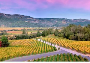 Private Napa Wine Tour Up To 6 Guests