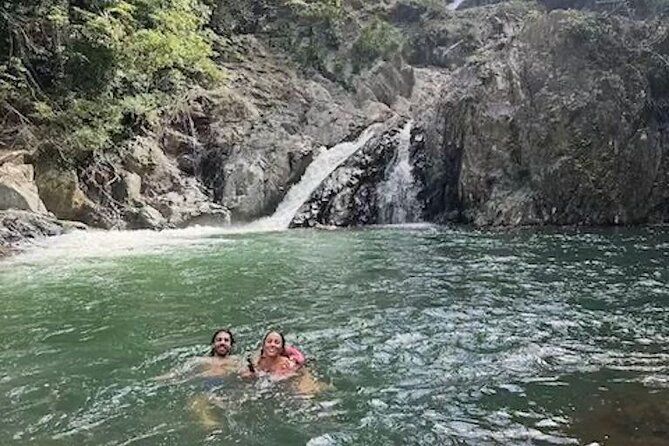 Amazing Daintree Rainforest Tour Waterfall Hike, Lunch, Swim & Crocodile Cruise