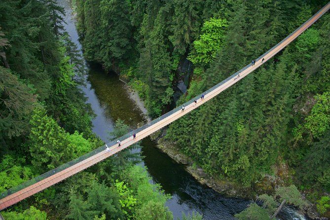 Post-Cruise: Vancouver Tour with Lookout and Capilano Bridge