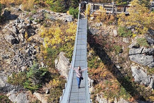 Half Day Suspension Bridge Tour in Skagway and Yukon