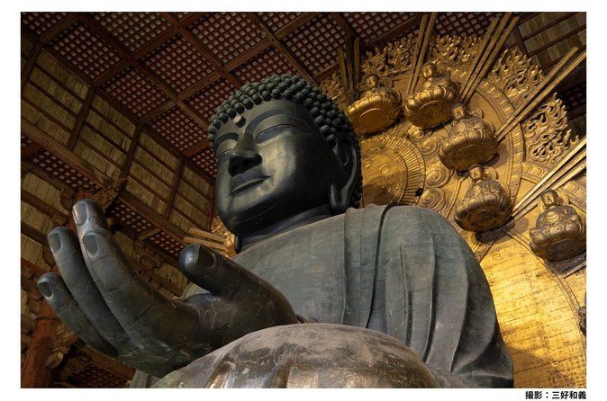 Kyoto & Nara Full-Day Tour: Kinkaku-ji, Todai-ji & Nara Park