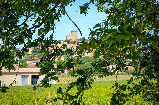 Châteauneuf Du Pape intensive vineyard & fine wine experience