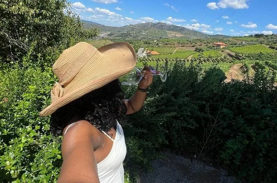 Private Douro Valley Tour from Porto: 3 Wineries & Lunch