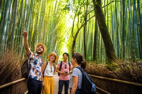 Kyoto Arashiyama Walking Tour: Bamboo, Monkeys, Garden & Secrets