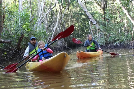 Everglades Kayak & Canoe Rentals