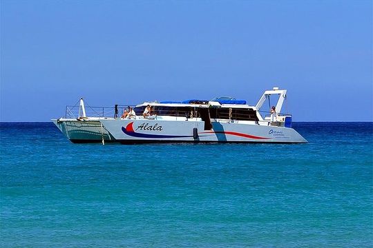 Snorkel Adventure on our Power Catamaran