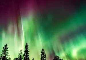 Starlight Snowshoe Adventure in Alaska