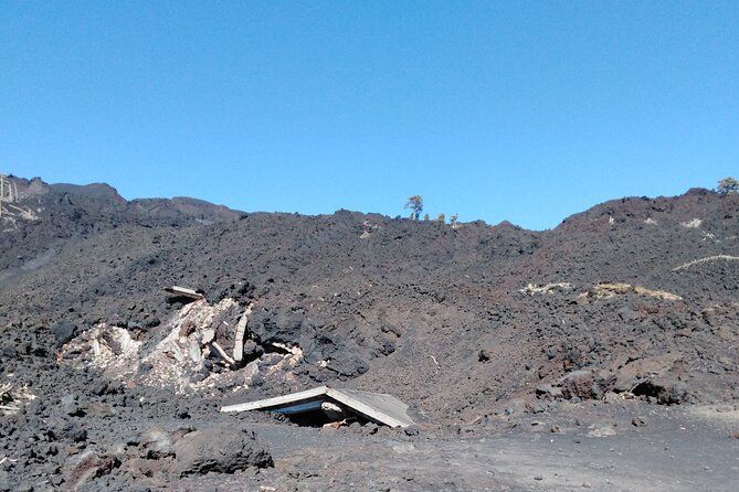 private tour of etna with wine tasting and lunch in the cellar