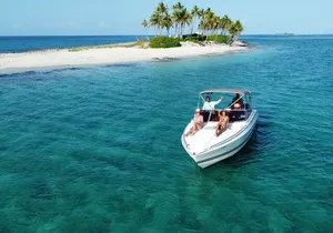 Half day Exotic private charter Rose Island, Pigs and Turtles