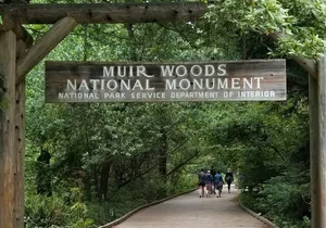 Muir Woods and Sausalito Tour Entrance Fee Included