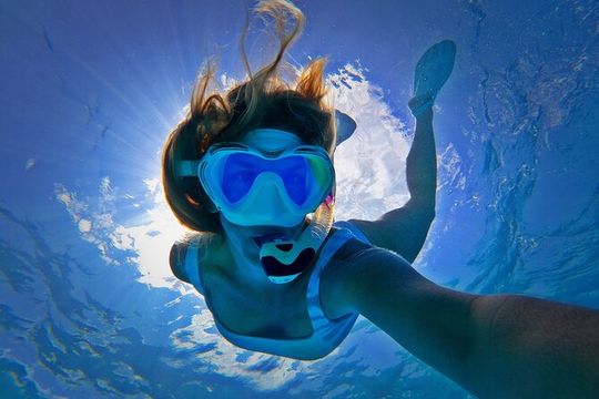 Deluxe Snorkel and Wildlife Cruise in Waikiki, Hawaii
