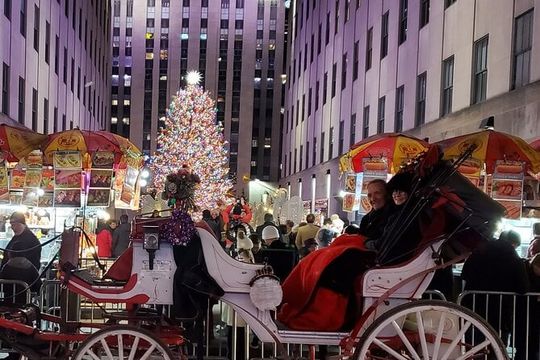 Private Christmas Lights Horse Carriage Tour In New York City