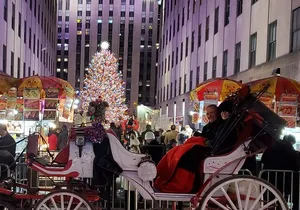Private Christmas Lights Horse Carriage Tour In New York City