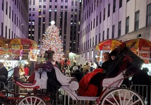 Private Christmas Lights Horse Carriage Tour In New York City