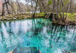 St. Johns River Cruise - Blue Spring State Park