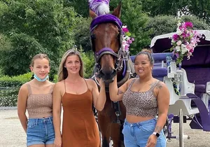 NYC VIP Christmas Central Park Horse Carriage Rides