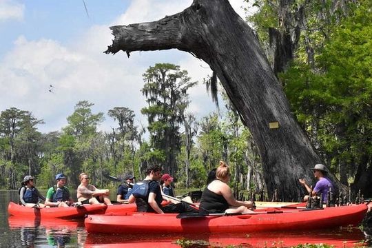 Manchac Swamp Extended 4-Hour Kayak Tour with Pickup