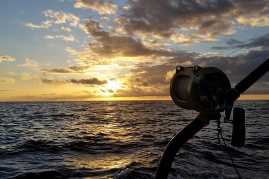 5 Hours Private Fishing Charter in Kailua-Kona