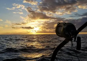 5 Hours Private Fishing Charter in Kailua-Kona