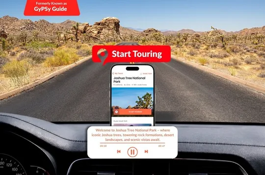Self-Guided Driving Audio Tour in Joshua Tree National Park