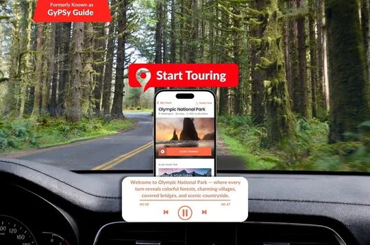 Self-Guided Audio Driving Tour in Olympic National Park