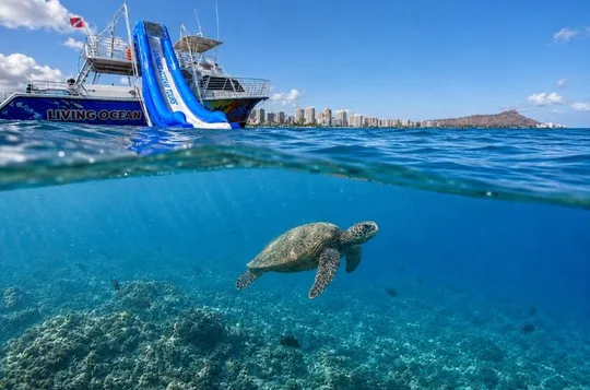 Waikiki Coral Reef Snorkel & Waterslide Adventure