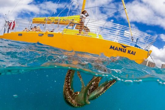 Daily Swim, Snorkel & Sail (Kewalo Harbor)