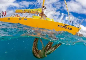 Private Swim and Sail Charter (Kewalo Harbor)