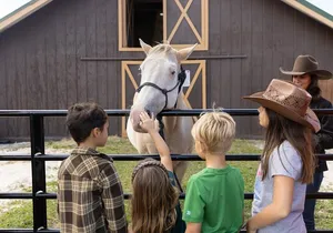 Central Florida Adventure Park - Authentic Dude Ranch Experience