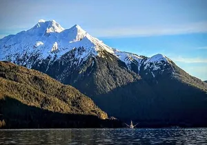 Sea it All -Private Sitka Wildlife LAND & SEA COMBO for 6 w/meal