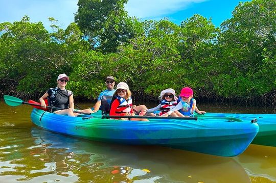 Clear/Standard Kayak Self Guided Island EcoTour Bonita Springs!