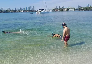 Miami: Snorkeling for Beginners Private Tour