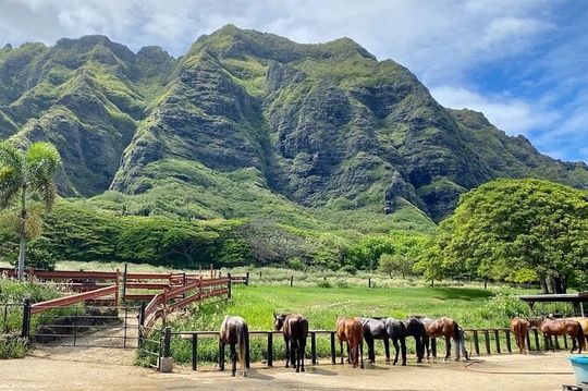 Oahu's Fun and Foodie Tour Groups of 5 or more Only!