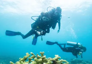 One Tank Scuba Diving in Kauai South Shore Certified Diver Only