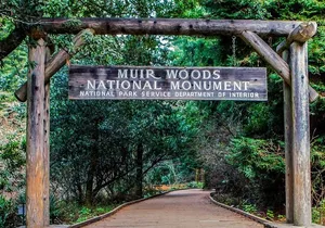 Private Muir Woods, Sausalito, and Marin Headlands Tour