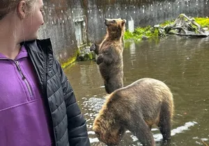 Sitka's Favorite Sites Private Land Tour for 7 (Meal option avail