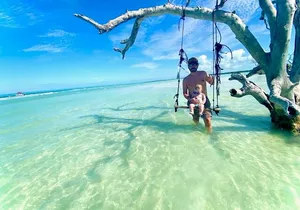 Half Day Luxury Boat Tour in Tampa with Snorkeling