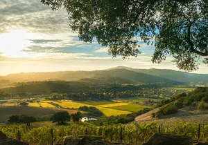 Day Private Russian River Valley Wine Tour from San Francisco