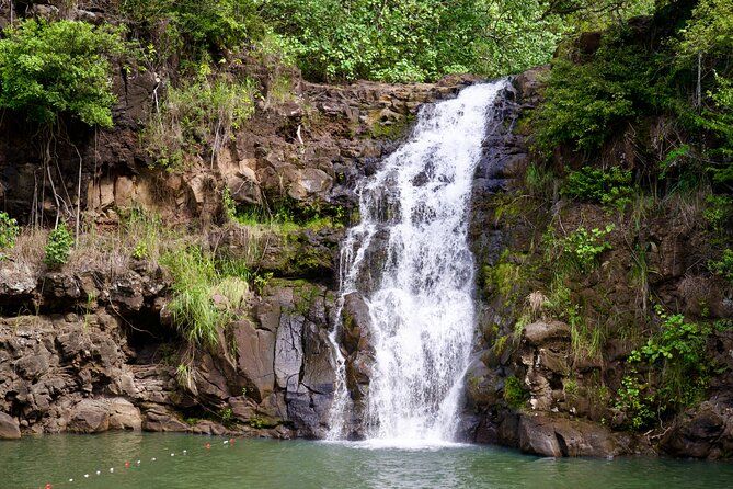 Private Tour Oahu including Waimea Waterfall/Botanical Garden