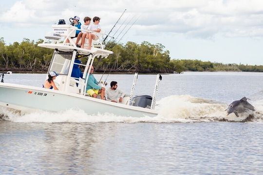Marco Island Dolphin & Eco Tour – Private 2 Hour Wildlife Cruise