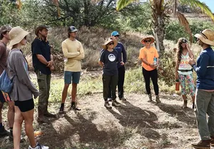 Work with Native Reforestation and Polynesian Agriculture in Maui