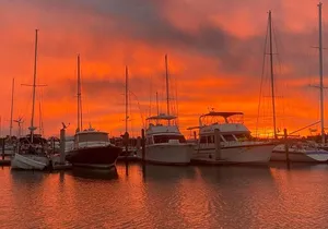 Sunset Eco Tour of Marco Island & 10,000 Islands