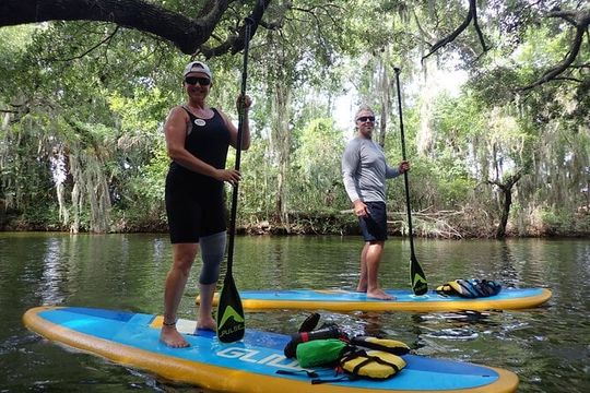 Wild Florida Kayak and Paddleboard Adventure on Dora Canal