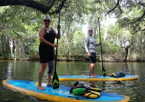 Wild Florida Kayak and Paddleboard Adventure on Dora Canal