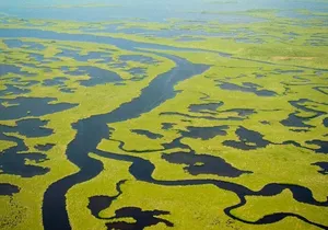 Everglades National Park Boat Tour