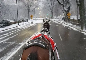 Full loop Private Horse Carriage Ride in Central Park 45 Minutes