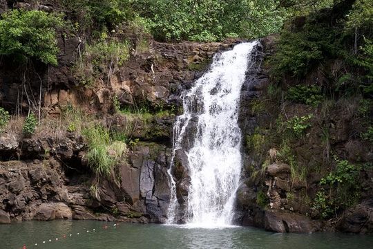 Private North Shore Oahu Tour ft. Waimea Falls-Customizable