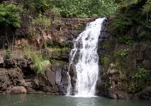 Private North Shore Oahu Tour ft. Waimea Falls-Customizable