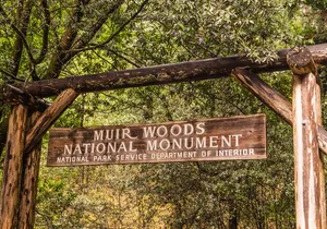 San Francisco, Golden Gate, Sausalito and Muir Woods Private Tour