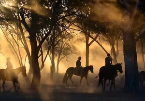 Champagne and Charcuterie Sunset Trail Ride